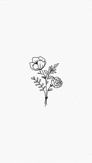 極簡白色背景 — 極簡美學 壁紙