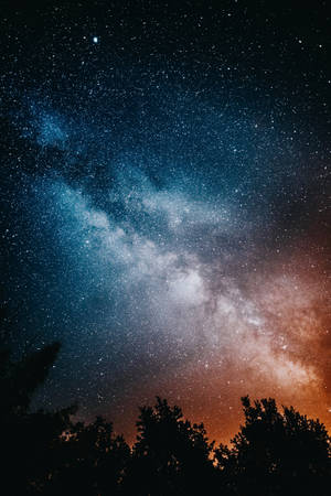 高解析度星空與樹木 — 小米平板7 Ultra 壁紙