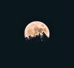 滿月圖片 — 月亮夜空 壁紙