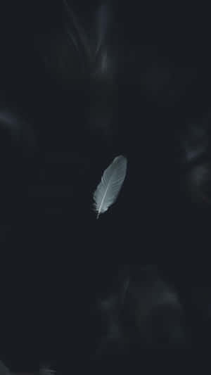 黑白美學圖片